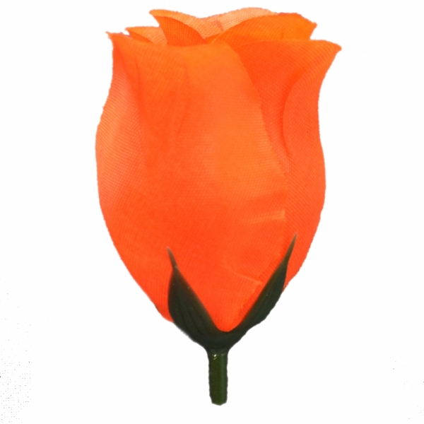 Сосна, 1,5 м. Розпушена