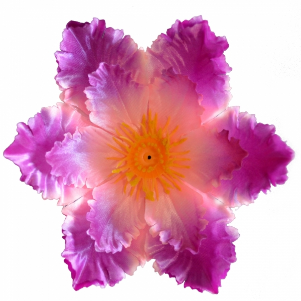 Сосна, 1,5 м. Розпушена