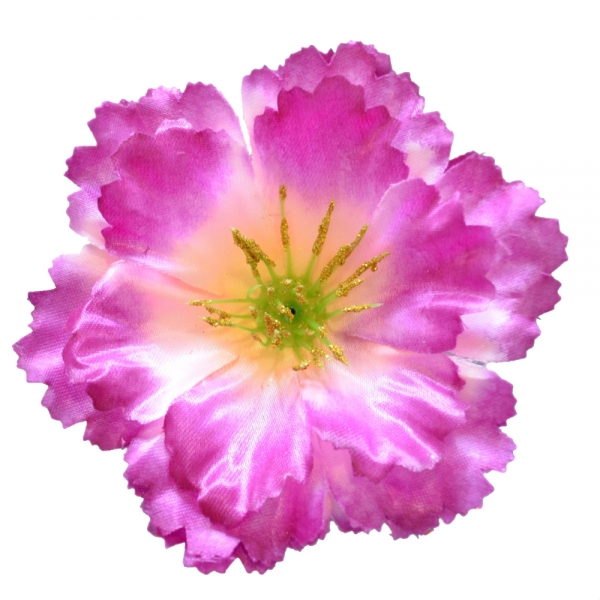 Сосна, 1,5 м. Розпушена