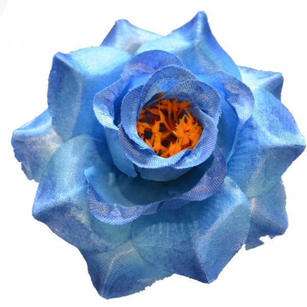 Сосна, 1,5 м. Розпушена