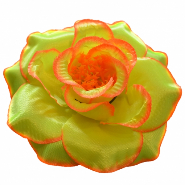 Сосна, 1,5 м. Розпушена