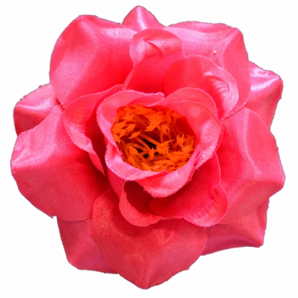 Сосна, 1,5 м. Розпушена