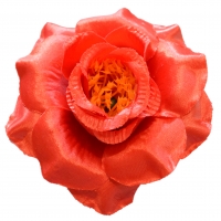 Троянда атлас червоний