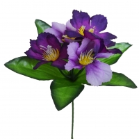 Заливка Клематис