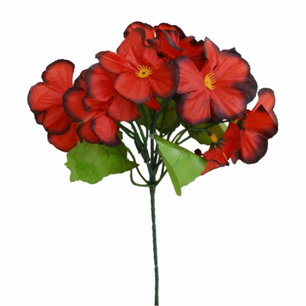 Сосна, 1,5 м. Розпушена