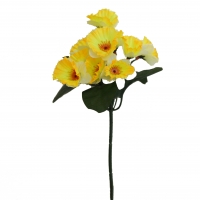 Заливка Нарцис