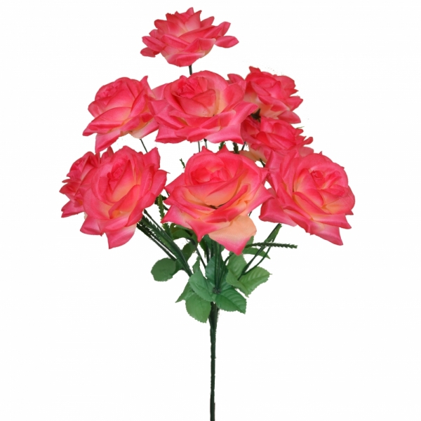 Сосна, 1,5 м. Розпушена