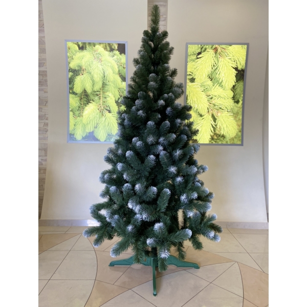 Сосна, 1,5 м. Розпушена