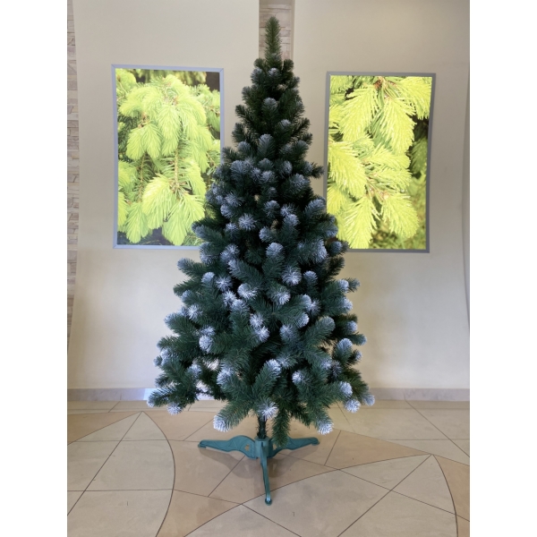 Сосна, 1,5 м. Розпушена