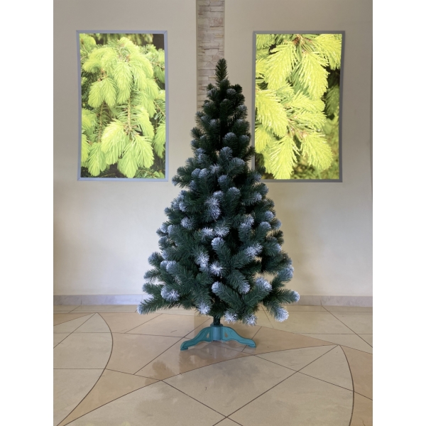 Сосна, 1,5 м. Розпушена