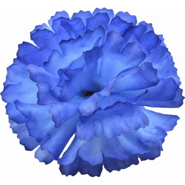 Сосна, 1,5 м. Розпушена