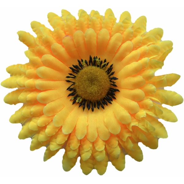 Сосна, 1,5 м. Розпушена