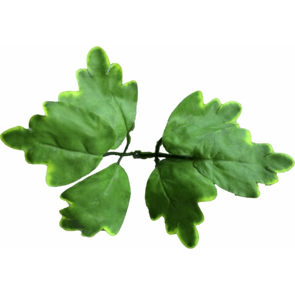 Сосна, 1,5 м. Розпушена