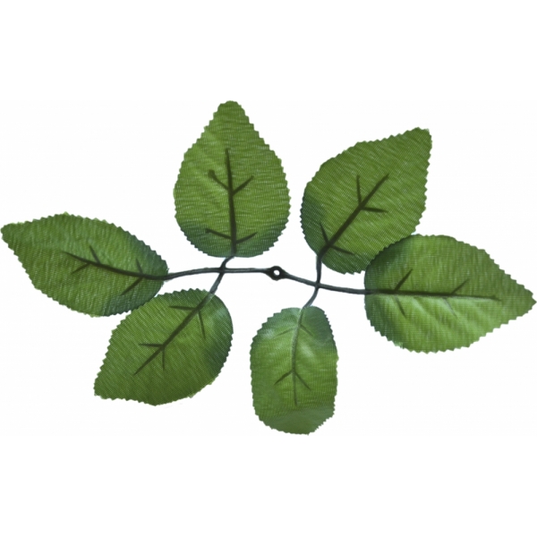 Сосна, 1,5 м. Розпушена