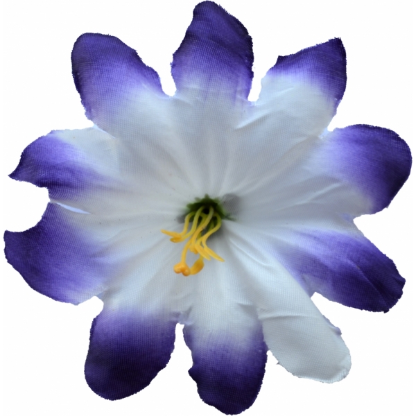 Сосна, 1,5 м. Розпушена