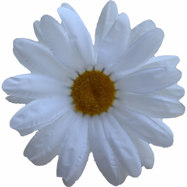 Сосна, 1,5 м. Розпушена