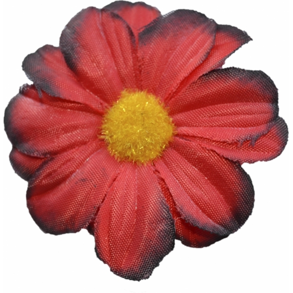 Сосна, 1,5 м. Розпушена