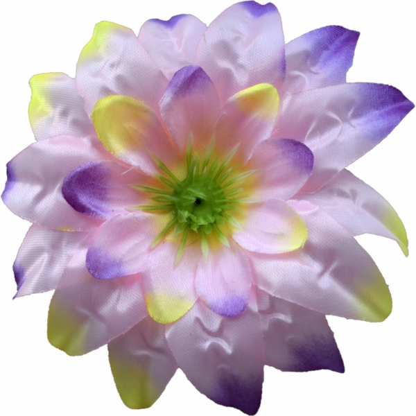 Сосна, 1,5 м. Розпушена