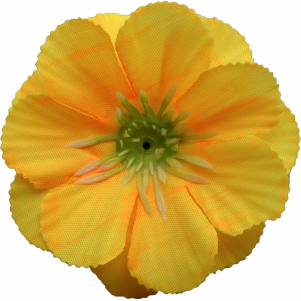 Сосна, 1,5 м. Розпушена