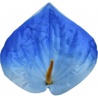 Calla head
