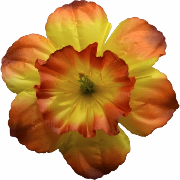 Сосна, 1,5 м. Розпушена