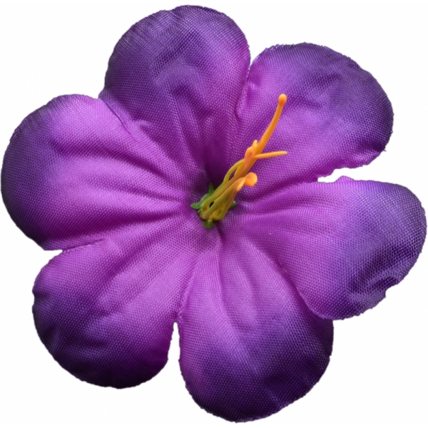 Сосна, 1,5 м. Розпушена