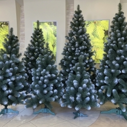 Елки пленочные с белым кончиком