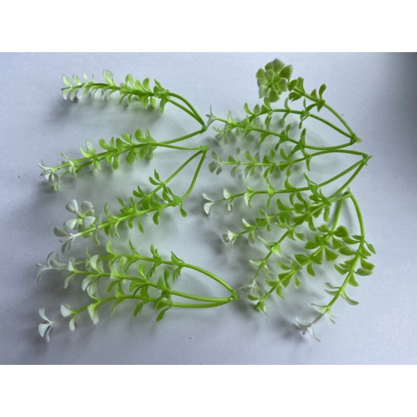 Сосна, 1,5 м. Розпушена