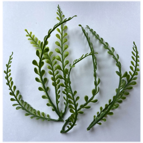 Сосна, 1,5 м. Розпушена