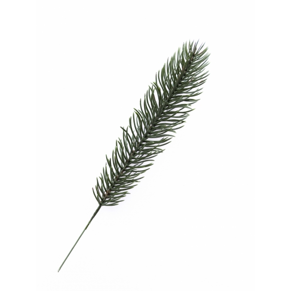 Сосна, 1,5 м. Розпушена