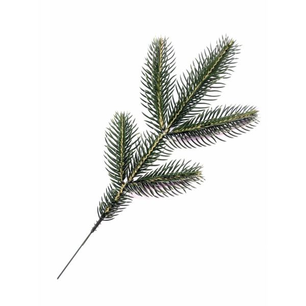 Сосна, 1,5 м. Розпушена