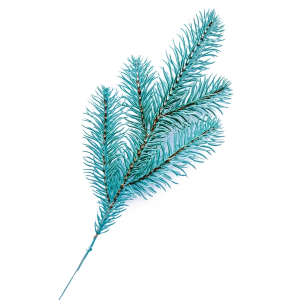 Сосна, 1,5 м. Розпушена