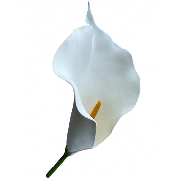 Сосна, 1,5 м. Розпушена