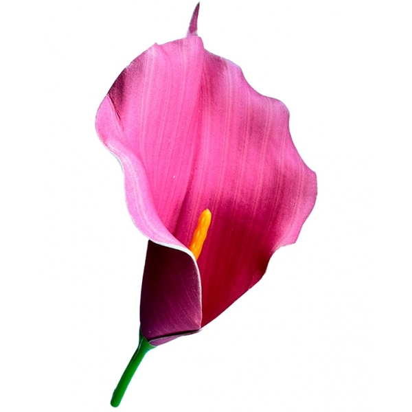 Сосна, 1,5 м. Розпушена