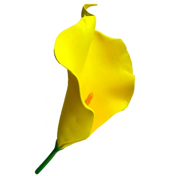 Сосна, 1,5 м. Розпушена