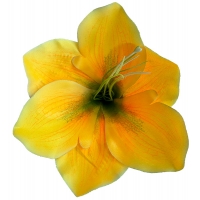 Амариліс жовтий