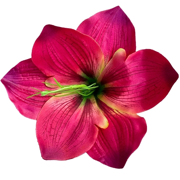 Сосна, 1,5 м. Розпушена