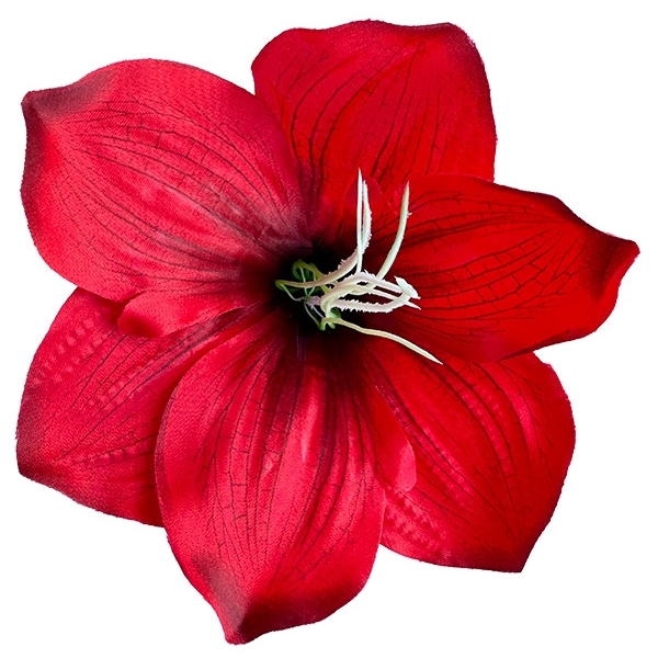 Сосна, 1,5 м. Розпушена