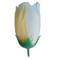 Бутон Гігант кремовий