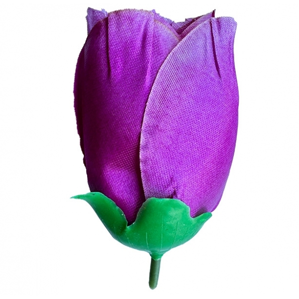 Сосна, 1,5 м. Розпушена