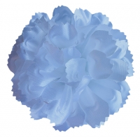 Голівка хризантеми білої