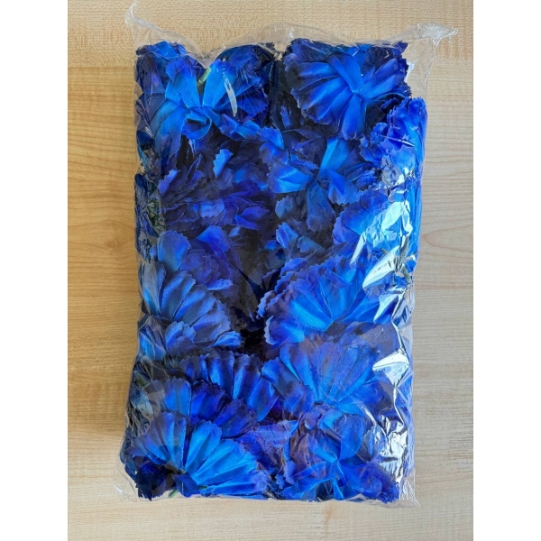 Сосна, 1,5 м. Розпушена