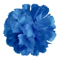 Голівка хризантеми блакитної