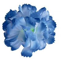 Голівка хризантеми біло-блакитної