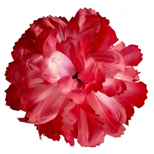 Сосна, 1,5 м. Розпушена