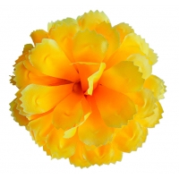 Голівка хризантеми жовта