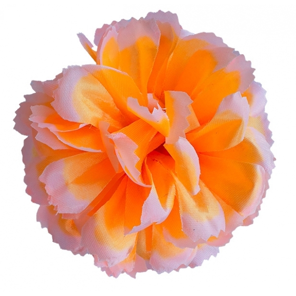 Сосна, 1,5 м. Розпушена