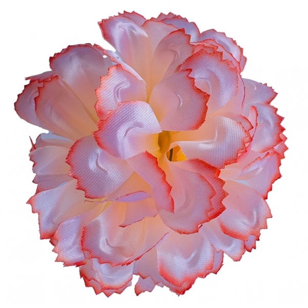 Сосна, 1,5 м. Розпушена