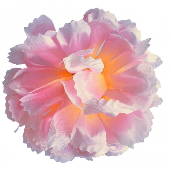 Сосна, 1,5 м. Розпушена