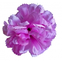 Голівка хризантеми бузково-світла